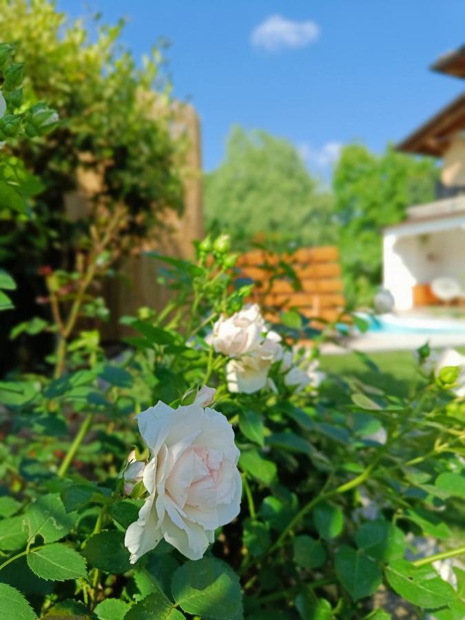 Picnic Room And Pool Castelnuovo del Garda Luaran gambar
